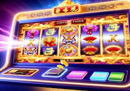 557 bet