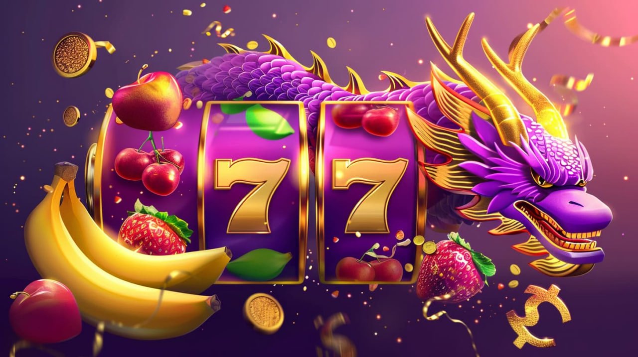 557 bet