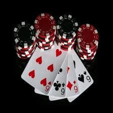 557 bet