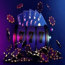 557 bet