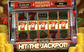 557 bet